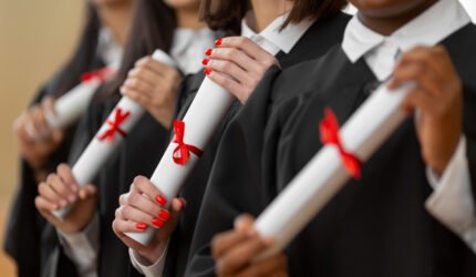 The Ivy League PhD Selection What Committees Are Actually Testing For and How a Dedicated Mentor Guides You to Acceptance