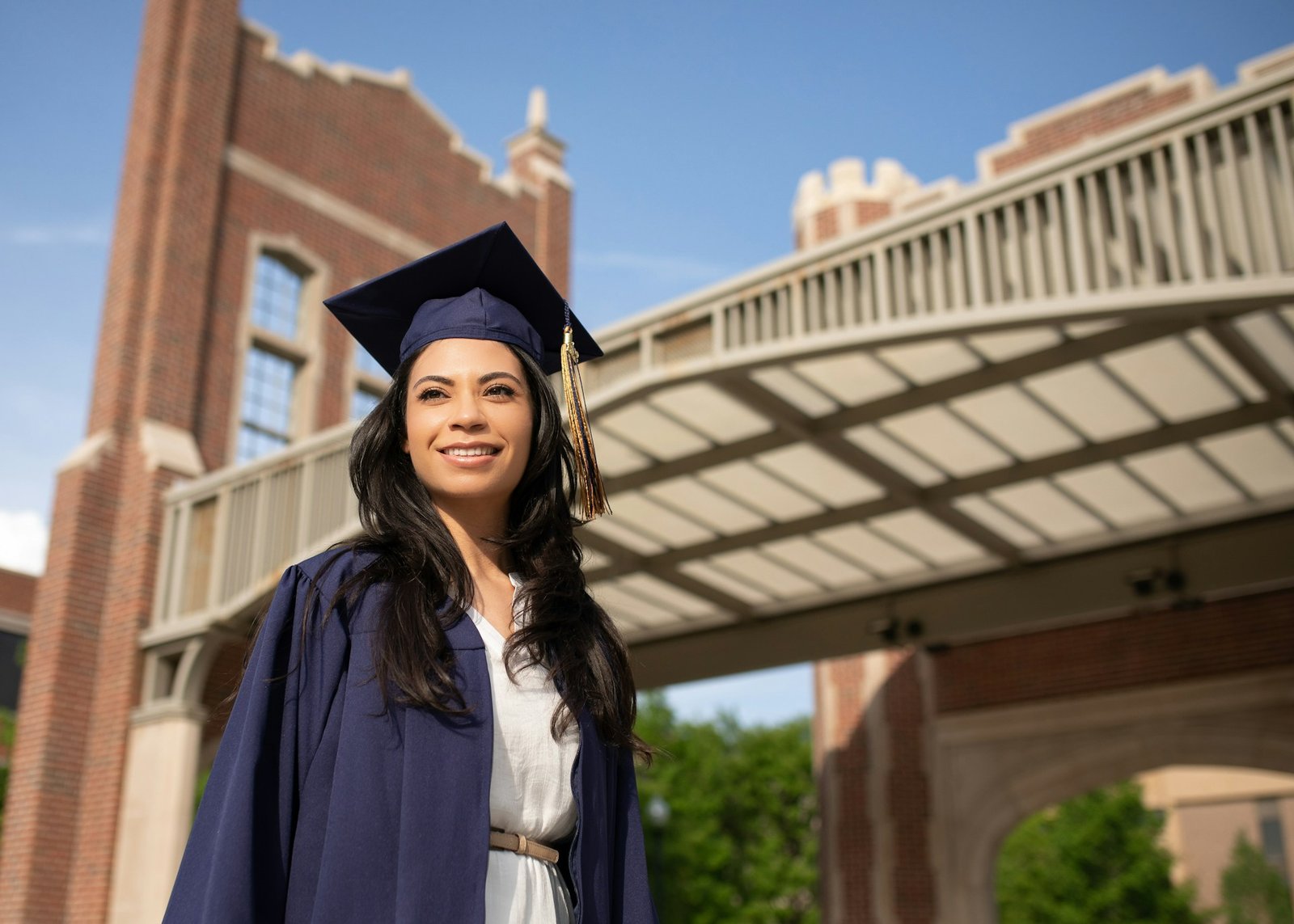 Letter of Recommendation for PhD A Guide for PhD in USA, UK and Ivy League